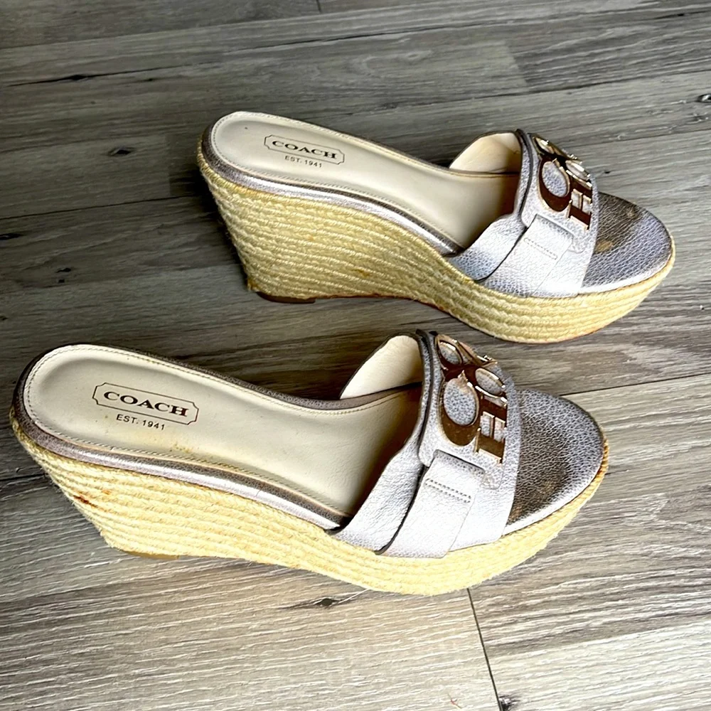 Coach silver platform